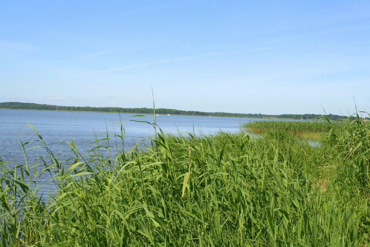 Ośrodek wypoczynkowy Inselhof Vineta Zempin